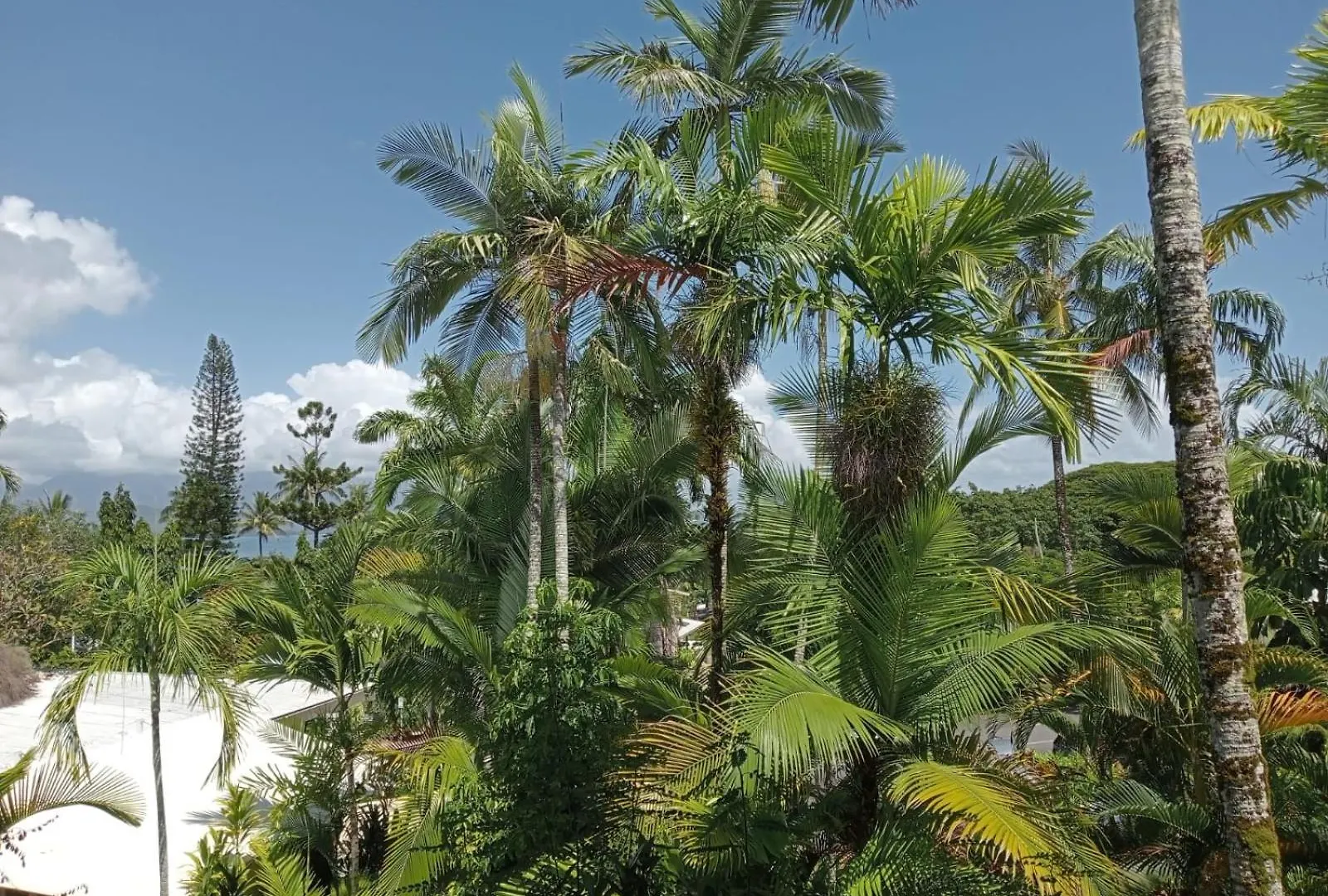 Club Tropical Resort - Official Onsite Reception & Check In Port Douglas 4*,