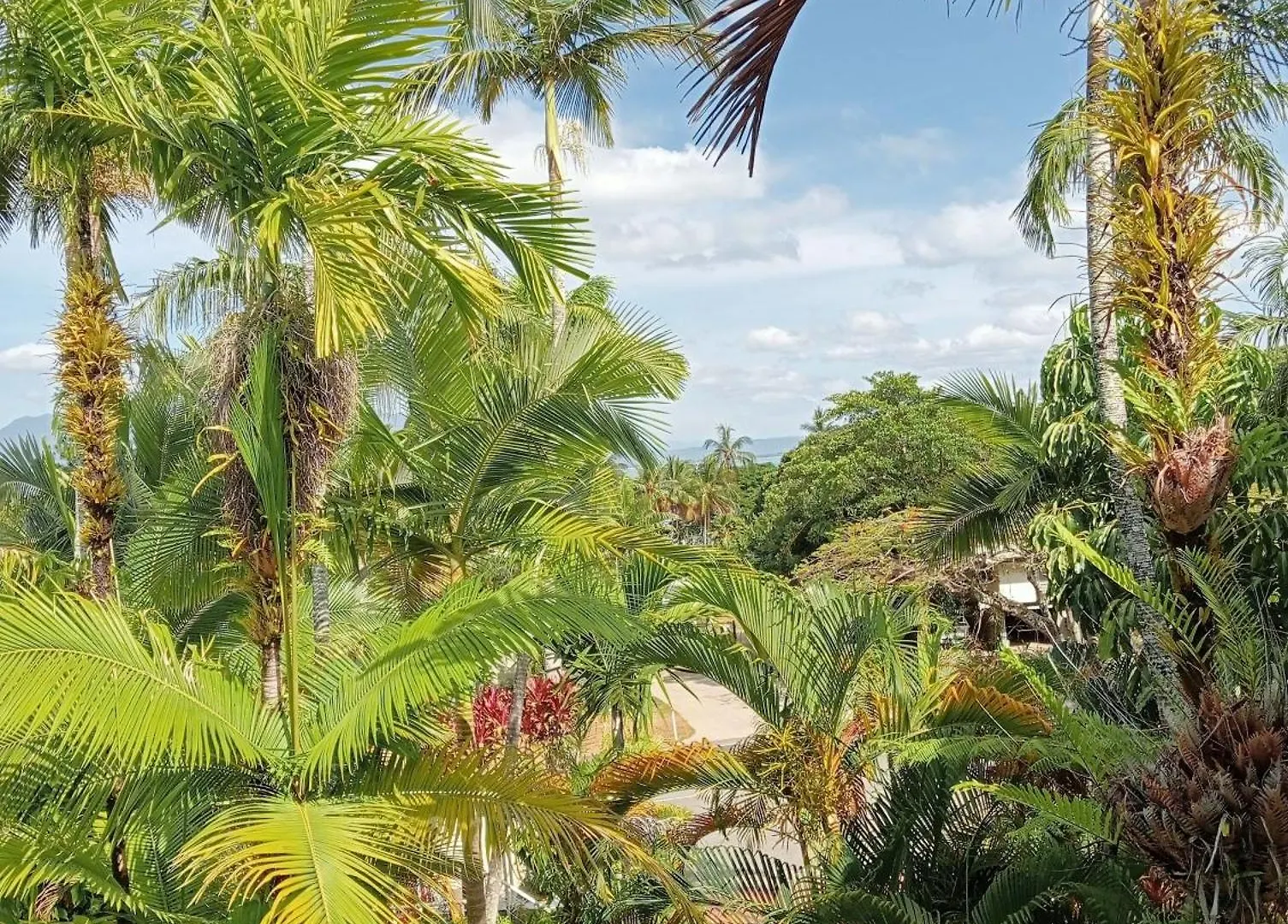Club Tropical Resort - Official Onsite Reception & Check In Port Douglas 4*,